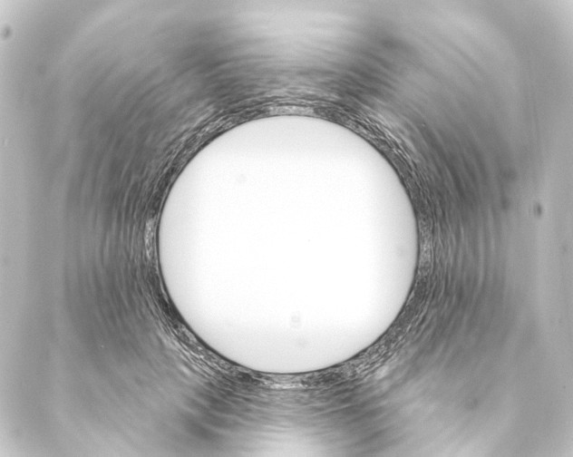 X0000088570649200706221252