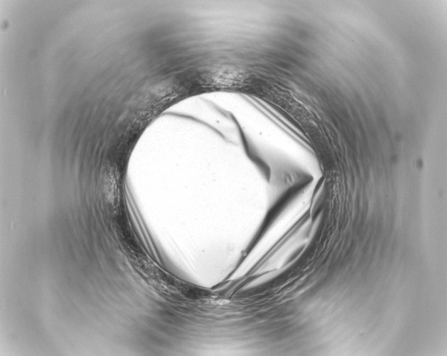 X0000088570651200706221252