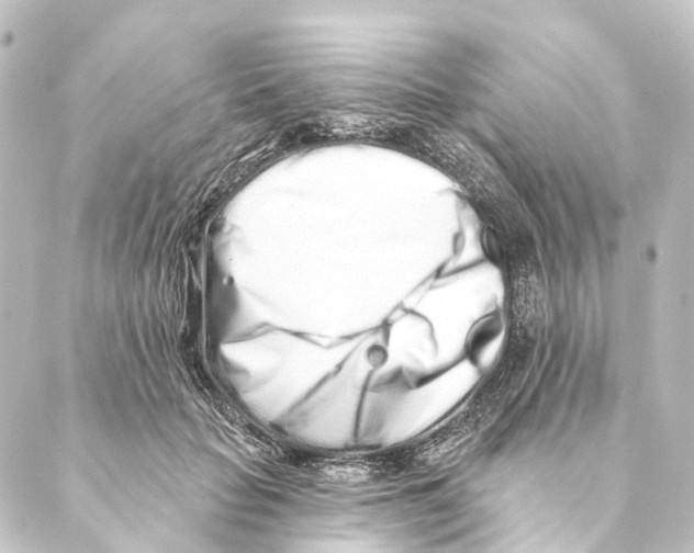 X0000088570653200706221252