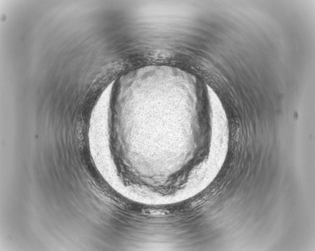 X0000088570654200706221252