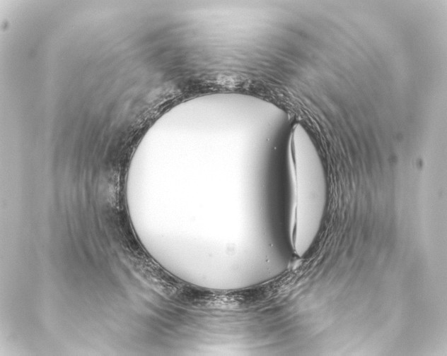 X0000088570656200706221252