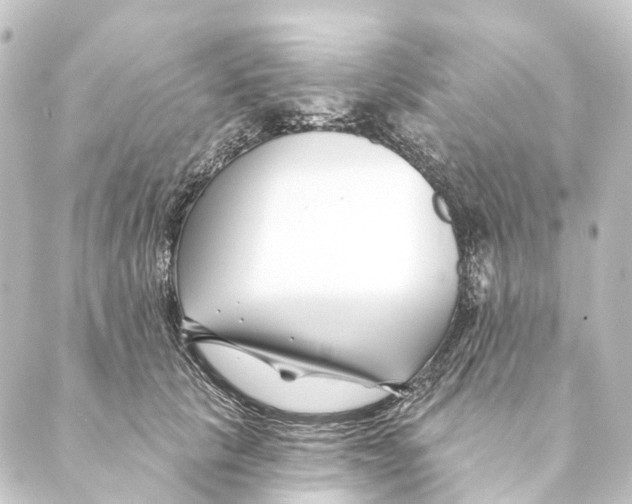 X0000088570657200706221252