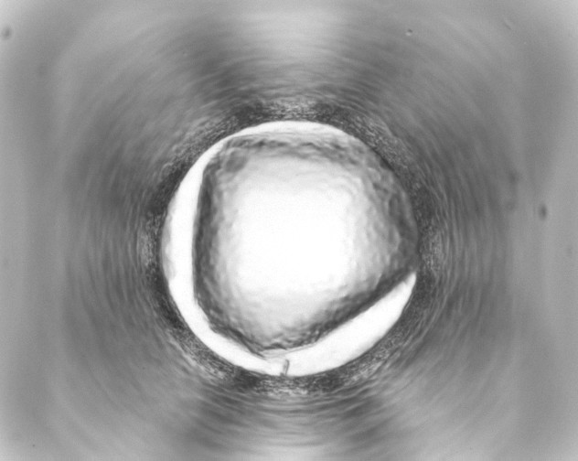X0000088570658200706221252