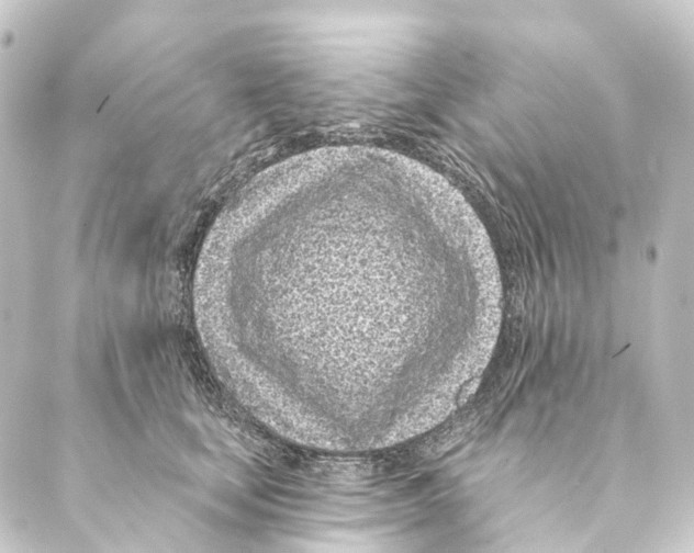 X0000088570659200706221252