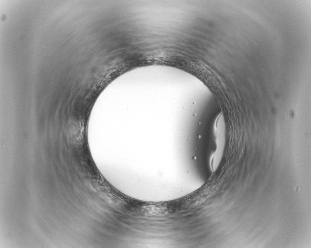 X0000088570660200706221252