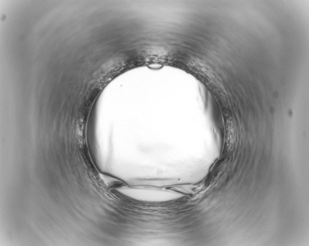 X0000088570661200706221253