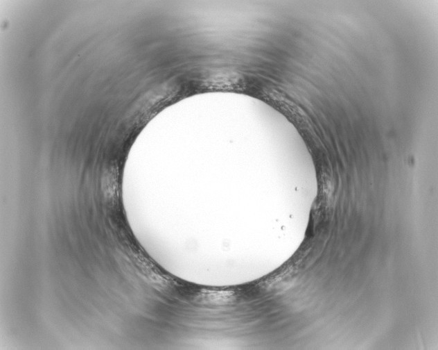 X0000088570665200706221253