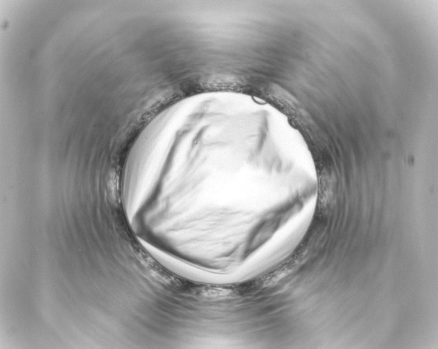 X0000088570669200706221253