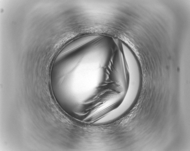 X0000088570673200706221252
