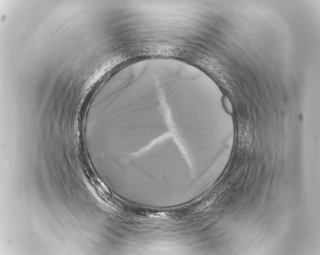 X0000088570674200706221252