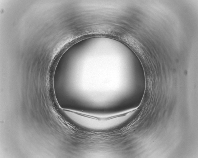 X0000088570676200706221252