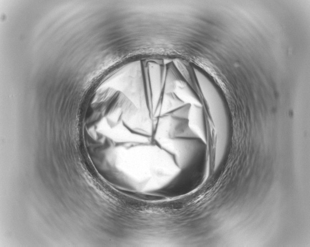 X0000088570677200706221252