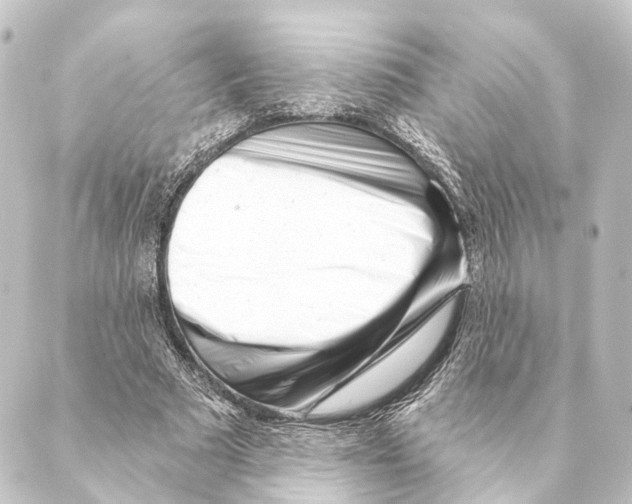 X0000088570681200706221252