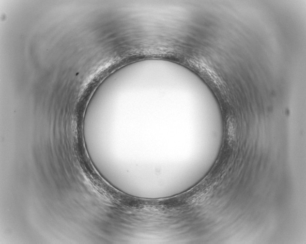 X0000088570684200706221252