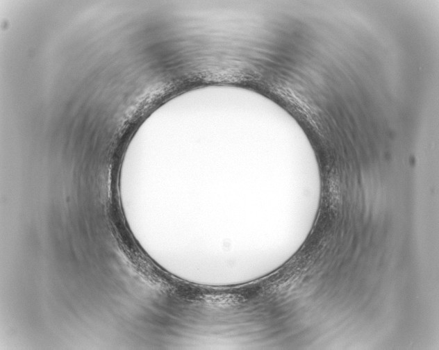 X0000088570686200706221252
