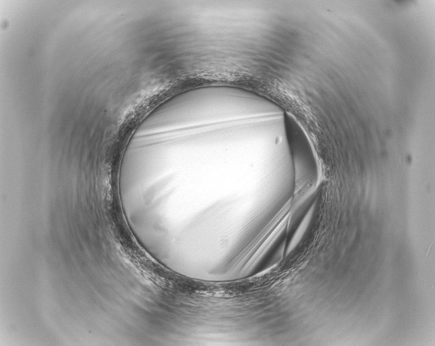 X0000088570688200706221252