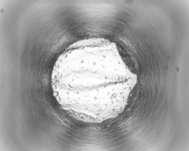 X0000088570691200706221252