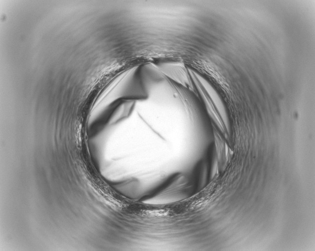 X0000088570692200706221252