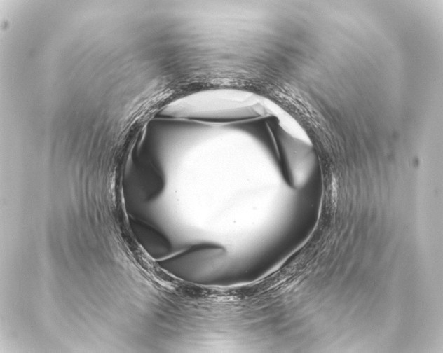 X0000088570696200706221252
