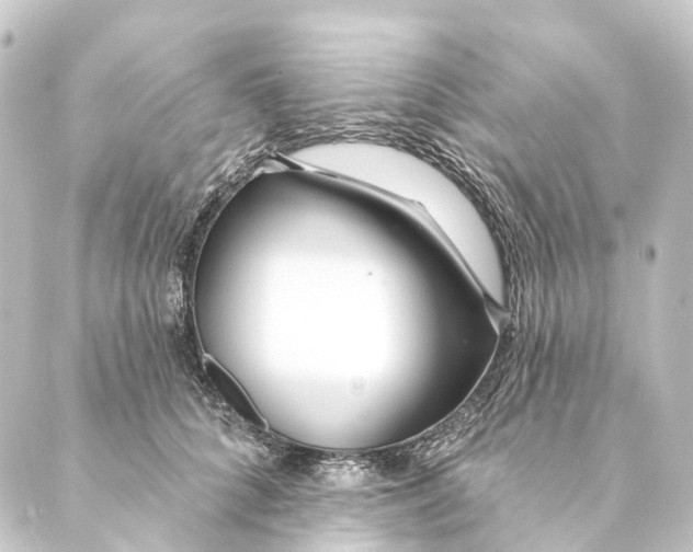 X0000088570704200706221251