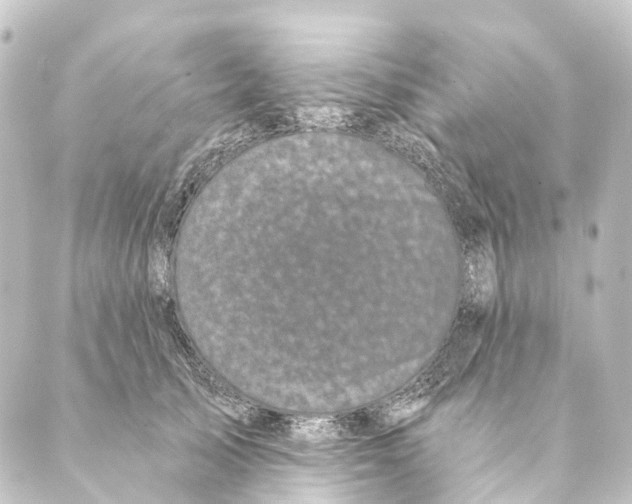 X0000088570705200706221251