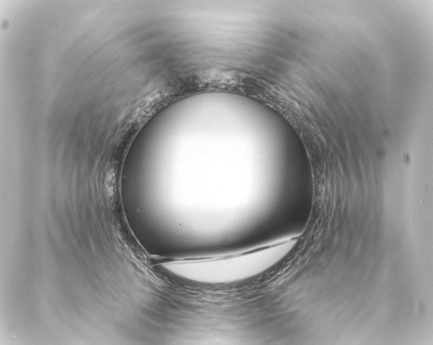 X0000088570708200706221251
