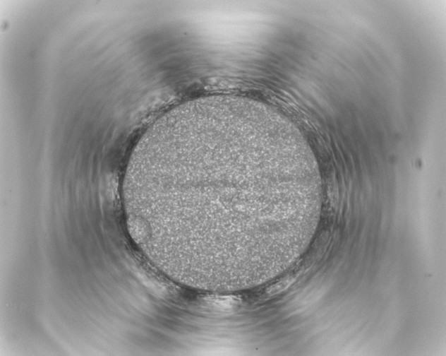 X0000088570711200706221251