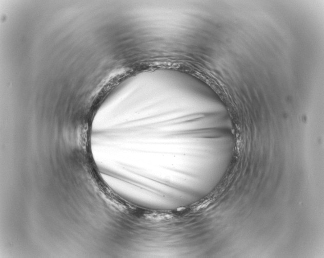 X0000088570712200706221251