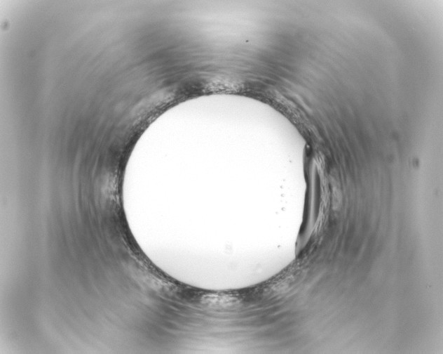 X0000088570714200706221251
