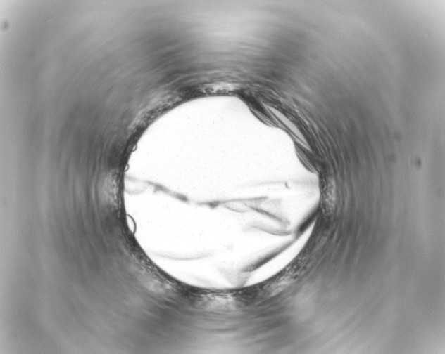 X0000088570715200706221251