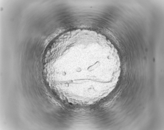 X0000088570721200706221250