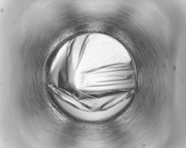 X0000088570722200706221250