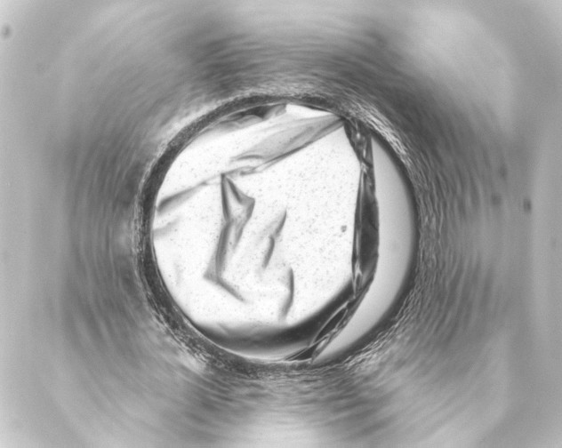 X0000088570724200706221250