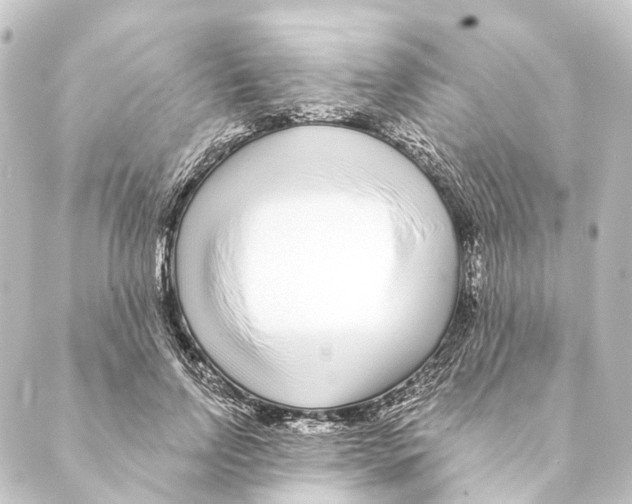 X0000088570742200706221251