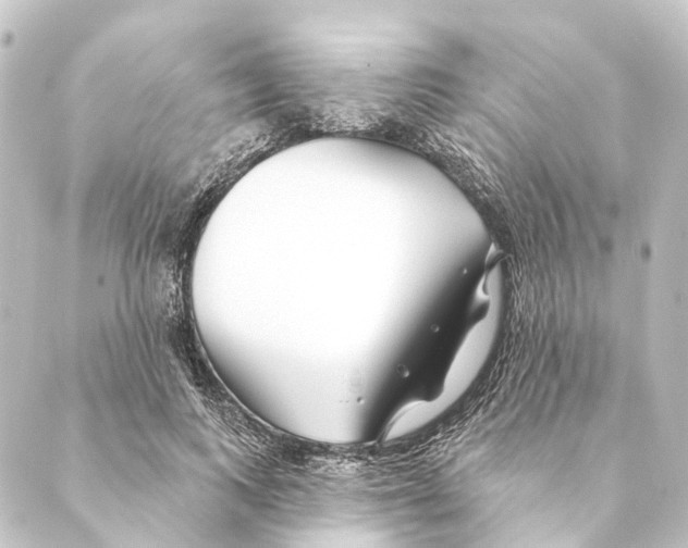 X0000088570743200706221251