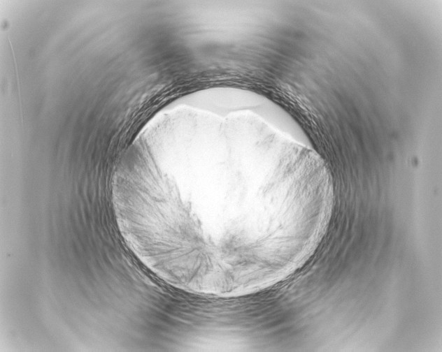 X0000088570745200706221251