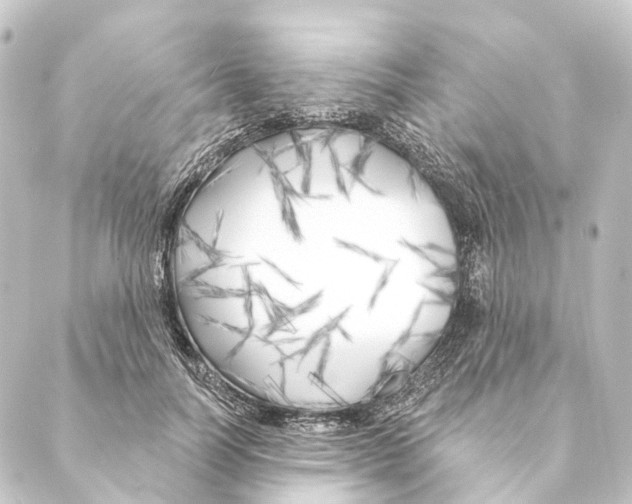X0000088570746200706221251