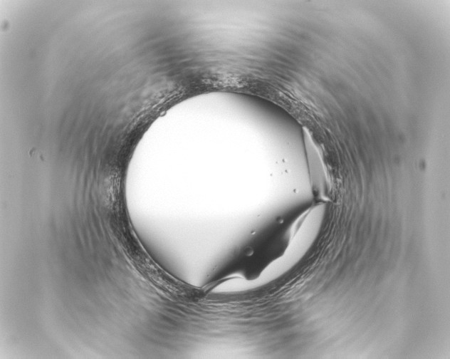 X0000088570747200706221251