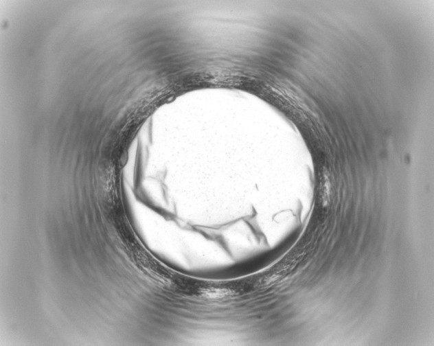 X0000088570748200706221251