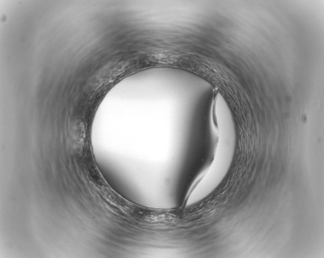 X0000088570752200706221251