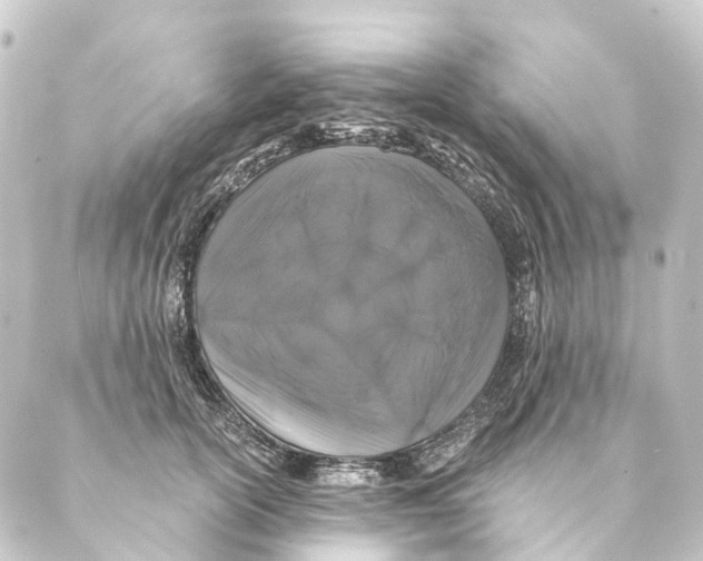 X0000088570754200706221251