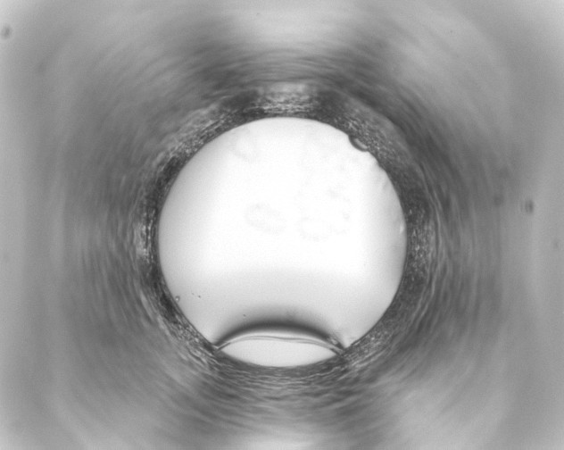 X0000088570755200706221251