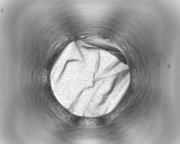 X0000088570758200706221251