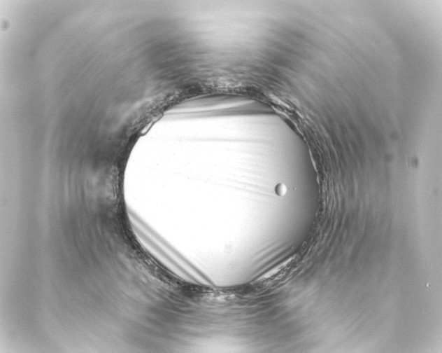 X0000088570760200706221251