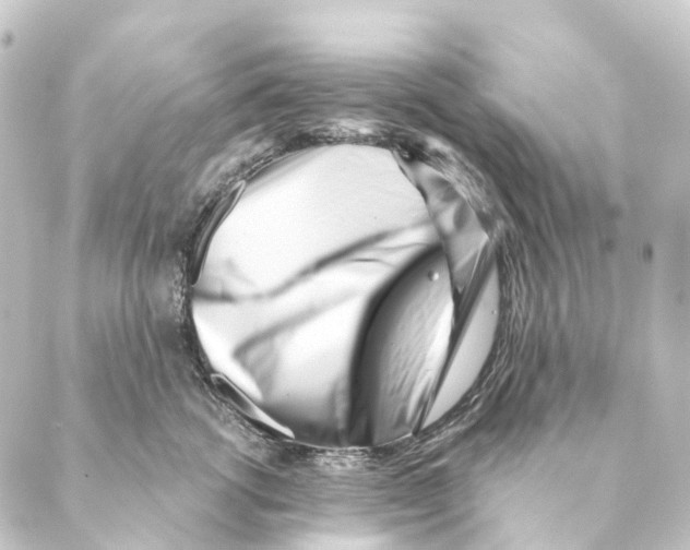 X0000088570762200706221251