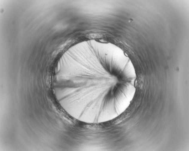 X0000088570763200706221251