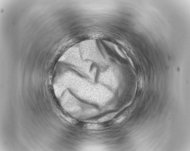 X0000088570766200706221251