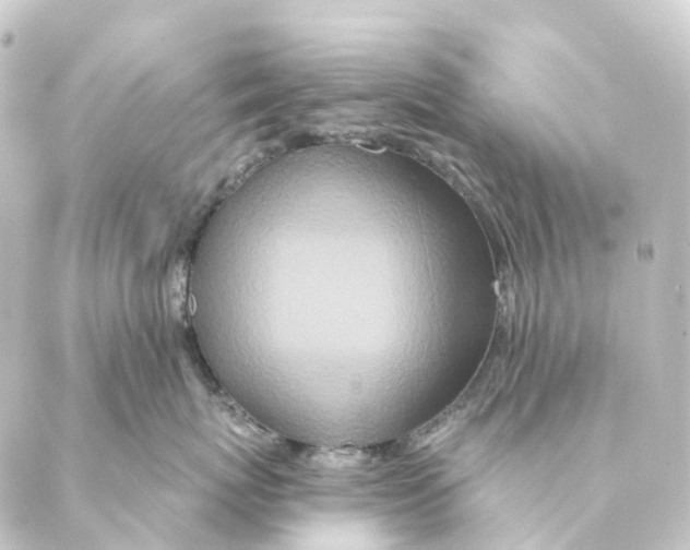 X0000088570767200706221251