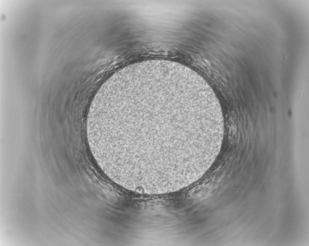 X0000088570769200706221250