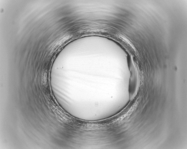 X0000088570777200706221250